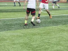 山东消费新,风尚,齐鲁超赛如,千亿球友会平台,千亿球友会官方网站,千亿球友会登录入口,千亿球友会app下载