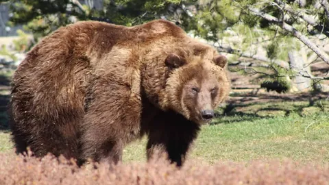 千亿球友会 产品 110347 ccp